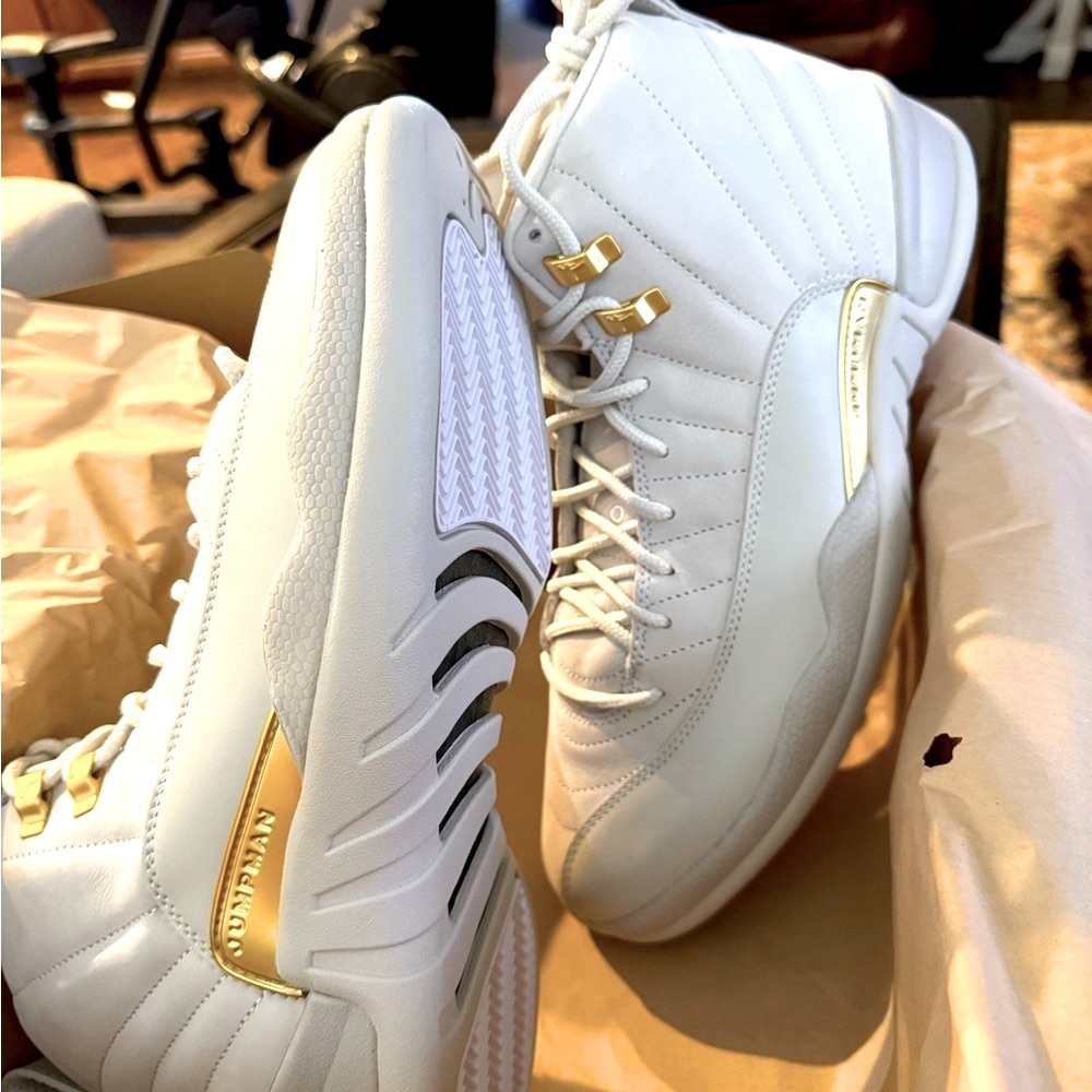 New Air Jordan 12s Retro Phantoms. The real deal, not Chinese fakes.